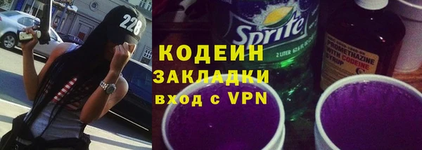 шишки Мегион