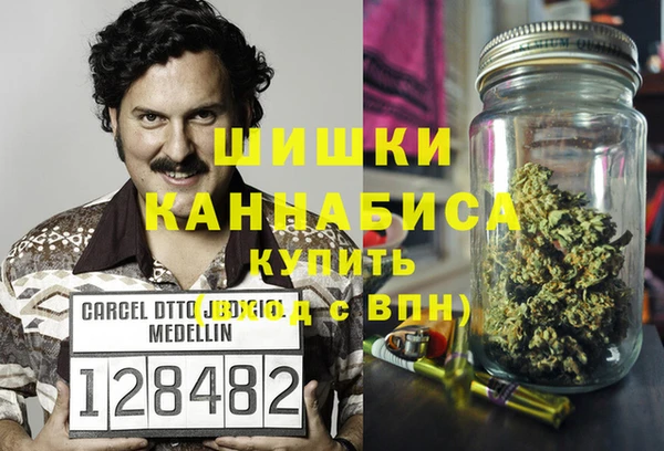 шишки Мегион
