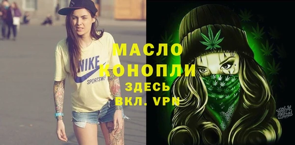 шишки Мегион